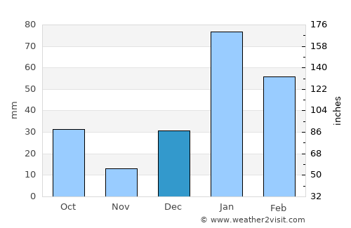 Pinjaur average rain in December