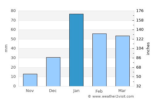 Pinjaur average rain in January