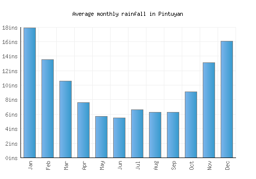 Pintuyan monthly rainfall chart (inches)