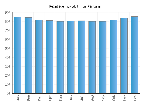 Pintuyan relative humidity averages