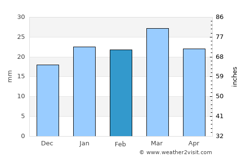Pioche average rain in February
