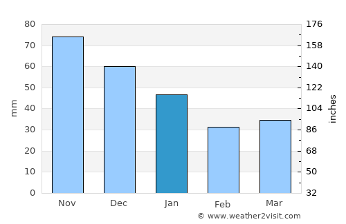 Pionerskiy average rain in January