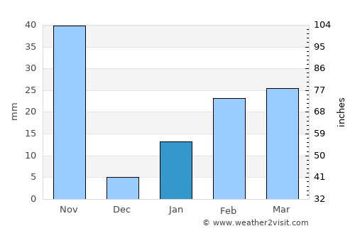 Pipili average rain in January