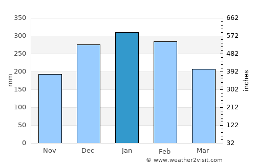 Piquete average rain in January