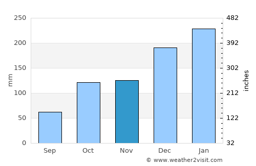 Pirapora do Bom Jesus average rain in November