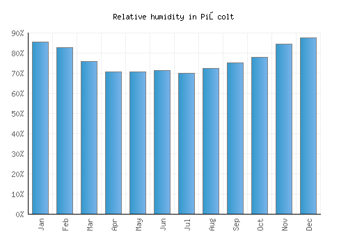 Pişcolt relative humidity averages