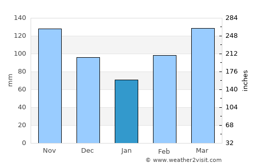 Pitalito average rain in January