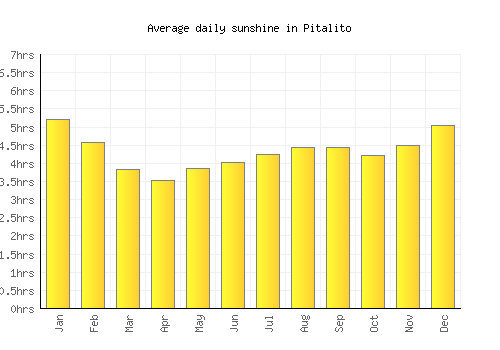 Pitalito average daily sunshine chart