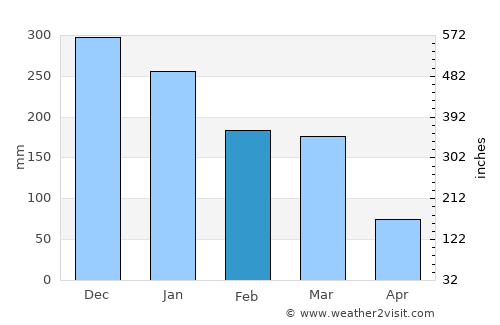 Pitangui average rain in February