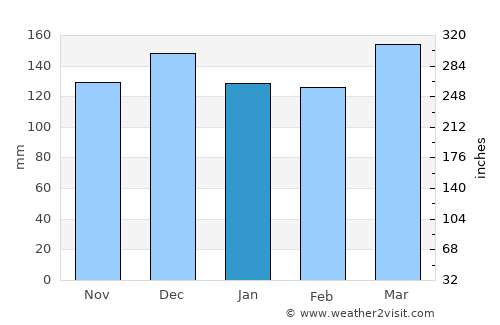 Pittsboro average rain in January