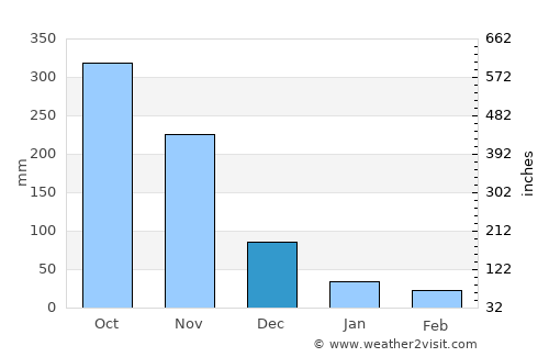Pleiku average rain in December