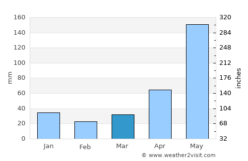 Pleiku average rain in March