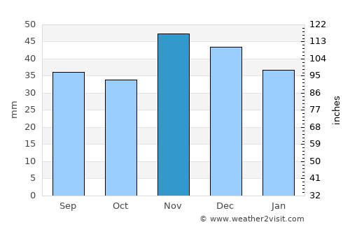 Pleşoiu average rain in November