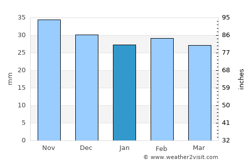 Pochidia average rain in January