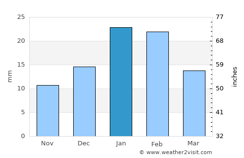 Pocito average rain in January