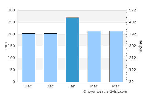 Pocok average rain in January