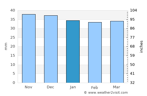 Poian average rain in January