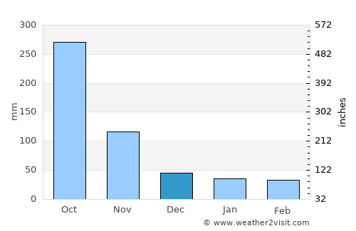 Polo average rain in December