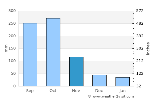 Polo average rain in November
