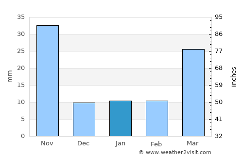Pong average rain in January