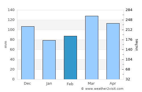 Poplar Bluff average rain in February
