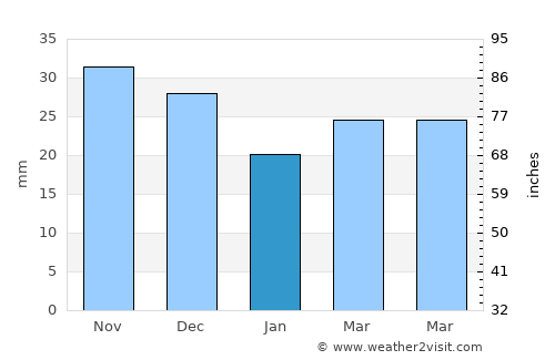 Port Adelaide average rain in January
