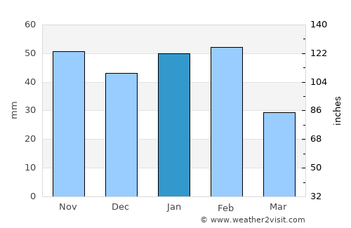 Port Aransas average rain in January