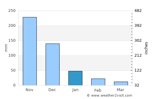 Port Blair average rain in January