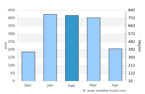 Port Douglas average rain in February
