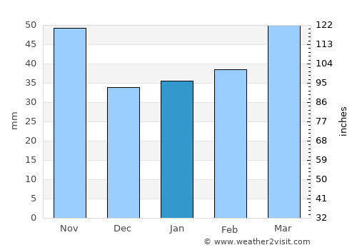 Port Elizabeth average rain in January