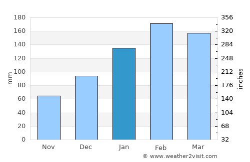 Port Mathurin average rain in January