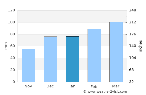 Port Richey average rain in January