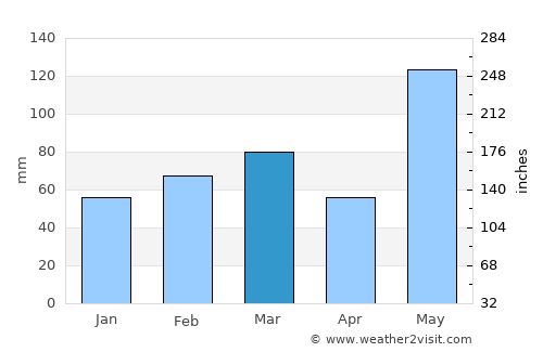 Port Saint Lucie average rain in March