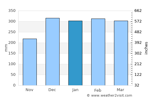 Porto Velho average rain in January