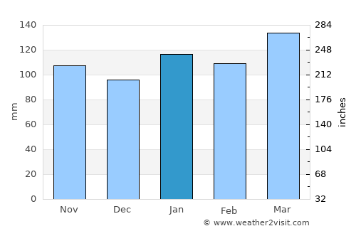 Porvenir average rain in January