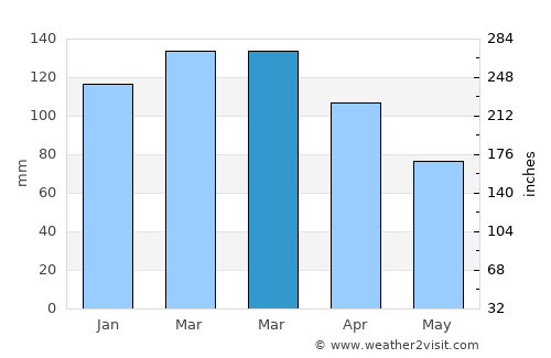 Porvenir average rain in March
