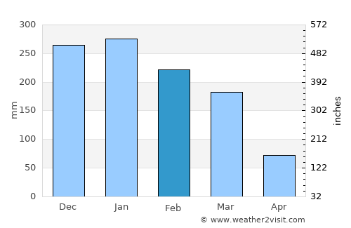 Pouso Alegre average rain in February