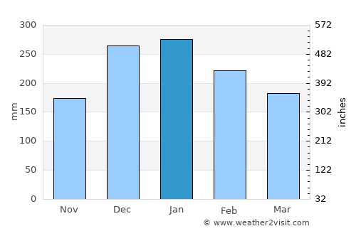 Pouso Alegre average rain in January