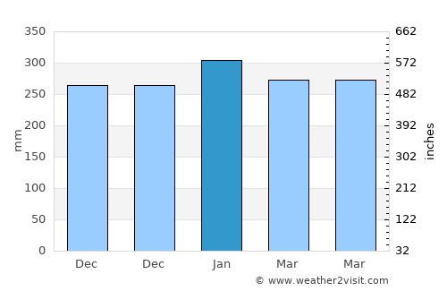Pragaan average rain in January