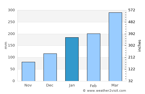Presidente Dutra average rain in January