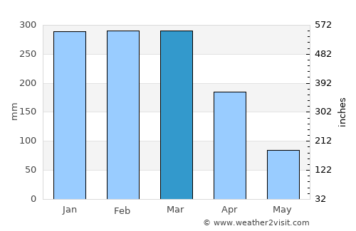 Presidente Médici average rain in March