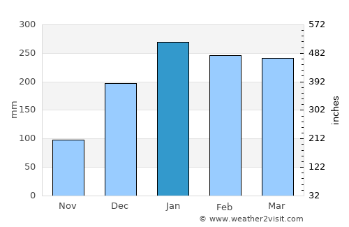Probolinggo average rain in January