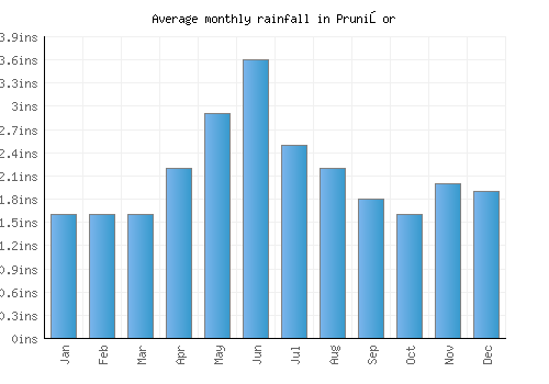 Prunişor monthly rainfall chart (inches)