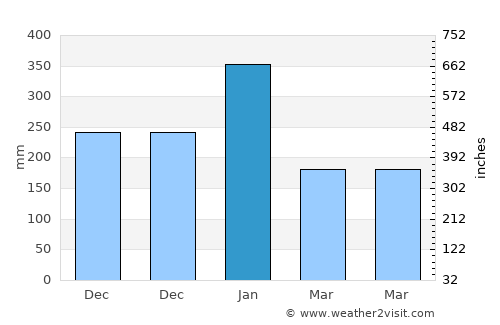 Puan Selatan average rain in January