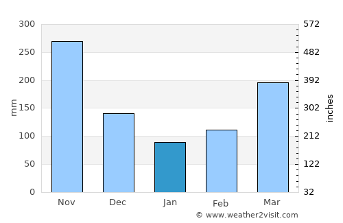 Puente Nacional average rain in January