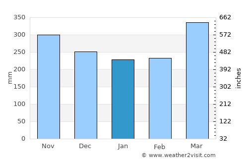 Puerto Francisco de Orellana average rain in January