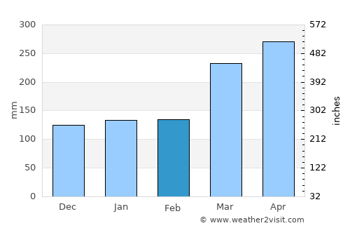 Puerto Leguízamo average rain in February