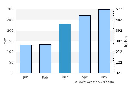 Puerto Leguízamo average rain in March