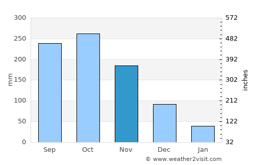Puerto Lleras average rain in November