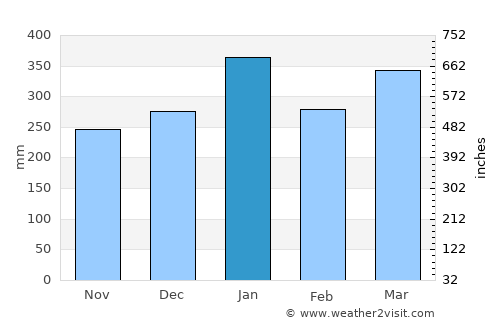 Puerto Nariño average rain in January